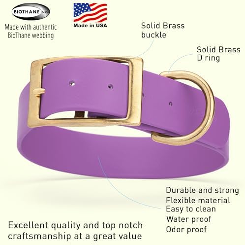 Viper Biothane Heavy Duty Waterproof Dog Collar Strong Coated Nylon Webbing w/Solid Brass Hardware Odor-Proof for Easy Care to Clean High Performance Fits Small Medium or Large Dogs, Amethyst Purple