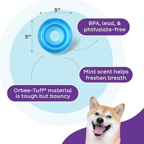 Outward Hound Snoop Interactive Treat Dispensing Dog Toy, Blue, 5"