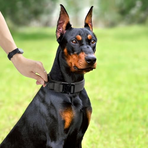 Tactical Dog Collar, Adjustable Military Training Nylon Pet Collar, Grey L