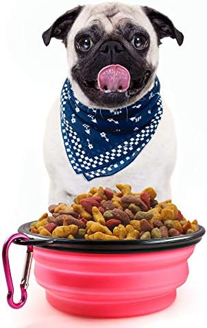 SENHAI Collapsible Travel Bowls for Dogs Cats Pets, 5 Pack Raised Bowls for Feeding Watering on Journeys Hiking Camping, Lightweight & Portable