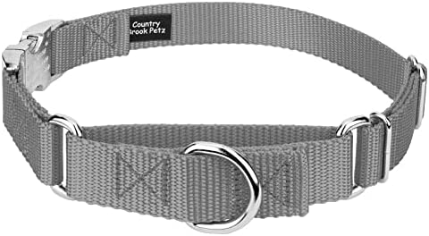Country Brook Petz - Martingale Dog Collar - Heavy Duty Nylon Adjustable Martingale Dog Collar with Metal Buckle for Small Medium Large Breeds - 30+ Color Options (5/8 Inch, Extra Small, Silver)