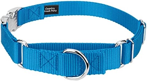 Country Brook Petz - Martingale Dog Collar - Heavy Duty Nylon Adjustable Martingale Dog Collar with Metal Buckle for Small Medium Large Breeds - 30+ Color Options (1 Inch, Extra Large, Ice Blue)