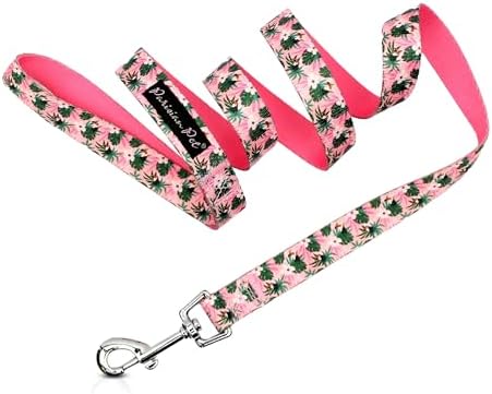 Parisian Pet Floral Dog Leash - Nylon Heavy Duty Training Leashes for Dogs with Comfortable Handle - Strong Metal Clip 4Ft Puppy Leash - Tropical Toucans Chew Proof Leashes for Small and Medium Dogs