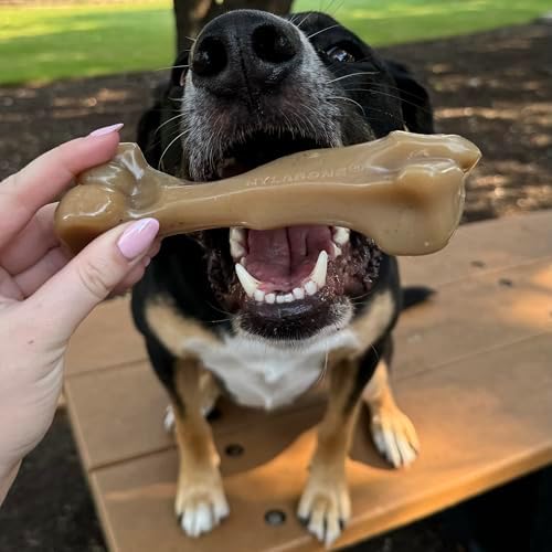 Nylabone Strong Chew Gourmet Style Dog Chew Toys, Large, 2 Count