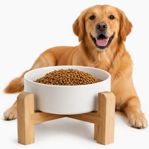 Elevated/Raised Ceramic Dog Bowl with Bamboo Stand,8 inch 7.6 Cups Non-Slip Heavy-Weighted Single Pet Dish,Reduces Neck Strain White