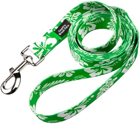 Country Brook Petz - Kelly Green Hawaiian Everyday Dog Leash - Summer Breeze Collection Featuring Sunny Designs (4 Foot, 1/2 Inch Wide)