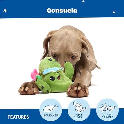 BarkBox Consuela the Cactus 2-in-1 Interactive Plush Dog Toy