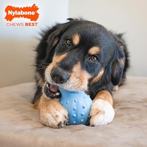 Nylabone Strong Chew Rubber Stuffable Cone Treat Toy, Bacon Flavor, X-Large
