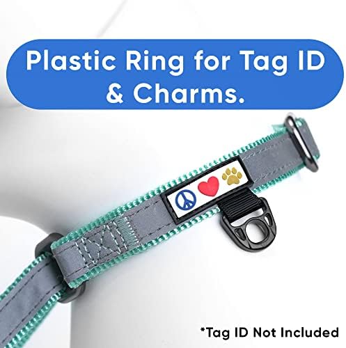 Pawtitas Personalized Dog Collar Martingale Dog Collar with Name Phone Number Reflective Martingale Dog Collar Customized Collar for Medium Dogs | Teal Custom Dog Collars for Medium Dogs
