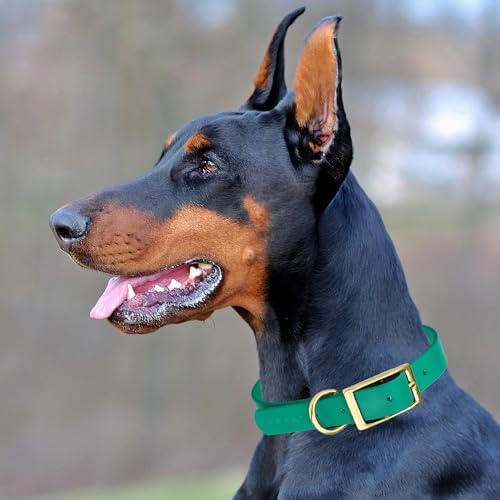 Viper Biothane Heavy Duty Waterproof Dog Collar Strong Coated Nylon Webbing w/Solid Brass Hardware Odor-Proof Easy to Clean High Performance Fits Small Medium or Large Dogs, Teal