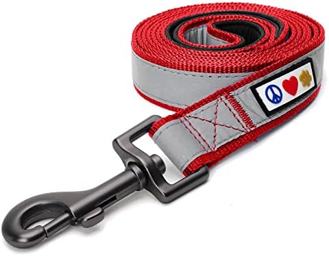 Pawtitas 6 FT Padded Dog Leash with Comfortable Neoprene Padding Handle - Red Lead | Small Reflective Dog Leash with Highly Reflective Band Perfect for Medium and Large Dogs and Puppies.