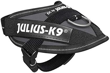 Julius-K9 IDC Powerharness, Size: 3XS/Baby 1, Anthracite