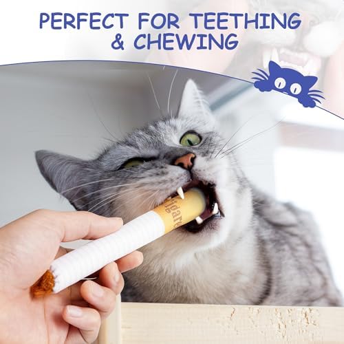 Nocciola 3 Pack Catnip Toys for Cats, Funny Cat Toys Filled with 100% Pure Organic Catnip, Safe Kitten Teething Chew and Kicker Toys, Stress Relieving Fun for Indoor Cats