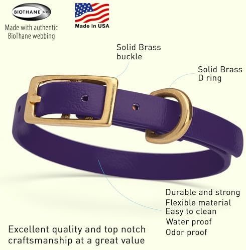 Viper Biothane Heavy Duty Waterproof Dog Collar Strong Coated Nylon Webbing w/Solid Brass Hardware Odor-Proof Easy to Clean High Performance Fits Small Medium or Large Dogs, Violet Purple