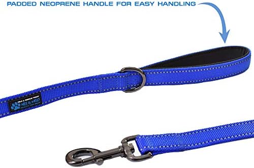 Max and Neo™ Double Handle Traffic Dog Leash Reflective - We Donate a Leash to a Dog Rescue for Every Leash Sold (Blue)