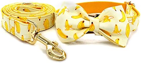 Custom Dog Collar with Names and Phone Number Engraved, Puppy Tags Personalized for Small Medium Large Pets