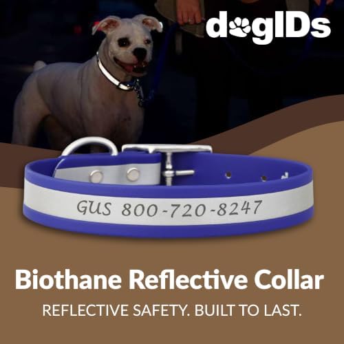 dogIDs Personalized Reflective Waterproof Dog Collar - Custom, Durable, Adjustable, Odor Resistant, Safe, Engraved - Blue, 1 in x 18 in (Fits Neck Sizes: 16-20 in)