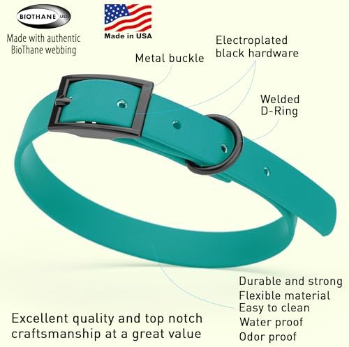 Dogline Biothane Waterproof Dog Collar Strong Coated Nylon Webbing with Black Hardware Odor- Proof for Easy Care Easy to Clean High Performance Fits Small Medium or Large Dogs, Blue Aqua