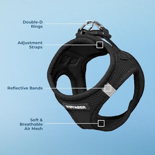 Best Pet Supplies Voyager Step-in Air Harness - All Weather Mesh, Reflective, No Pull Harness for Dogs, Cats - Secure with Hook & Loop Fastener, Buckle, Double D-Rings - Black/Black Trim, L