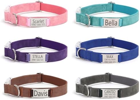 Custom Dog Collar with Engraved Metal Nameplates
