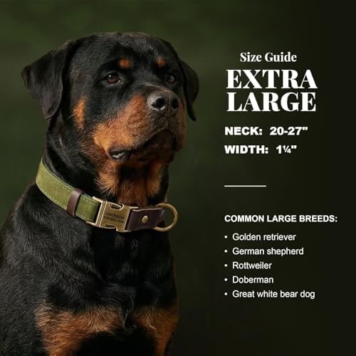 Personalized Dog Collars, Quick Release Buckle, Olive Green,XL
