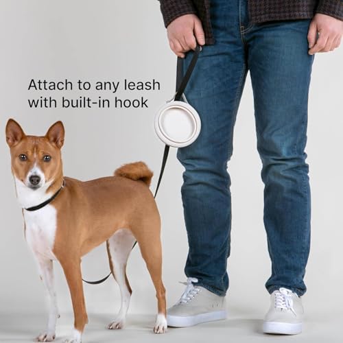Cleverpup Nomad Small Collapsible Travel Dog Bowl - 2 Cup, Sand Silicone