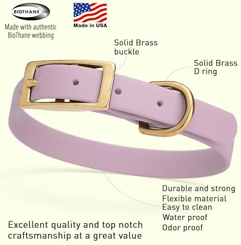 Viper Biothane Heavy Duty Waterproof Dog Collar Strong Coated Nylon Webbing w/Solid Brass Hardware Odor-Proof Easy to Clean High Performance Fits Small Medium or Large Dogs, Pastel Purple