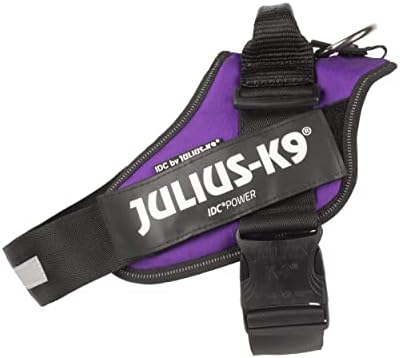 Julius-K9 IDC Powerharness, Size: L/1, Dark Purple