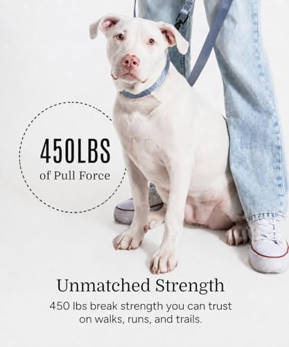 Fei & Eve Classic Dog Collar, Soft & Fur-Friendly