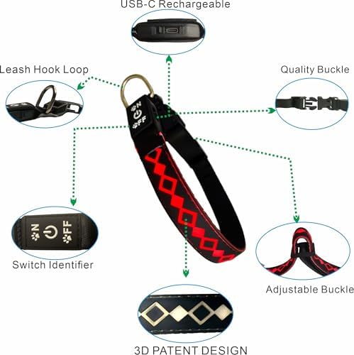 Personalized Flashing Dog Collar with Laser Engraved ID Tag
