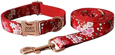 Custom Dog Collar with Names and Phone Number Engraved, Puppy Tags Personalized for Small Medium Large Pets