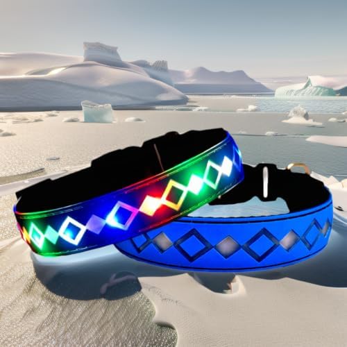 Personalized Flashing Dog Collar with Laser Engraved ID Tag