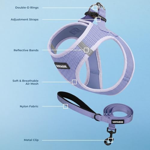 Best Pet Supplies Voyager Step-in Air All Weather Mesh Harness and Reflective Dog 5ft Leash Combo with Neoprene Handle, for Small, Medium and Large Breed Puppies - Lavender, XL