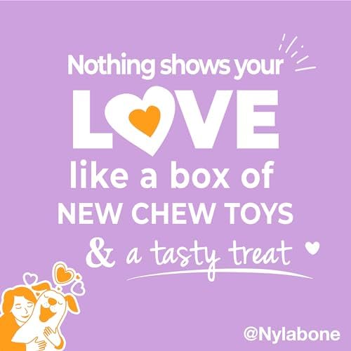 Nylabone Dog Gift Box, Strong Chew Toys & Treat, Small, 4 Count