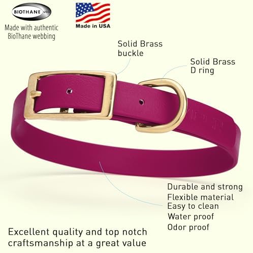 Viper Biothane Heavy Duty Waterproof Dog Collar Strong Coated Nylon Webbing w/Solid Brass Hardware Odor-Proof Easy to Clean High Performance Fits Small Medium or Large Dogs, Magenta Pink