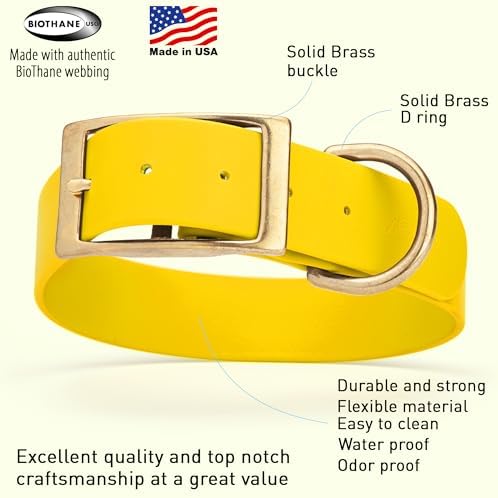 Viper Biothane Heavy Duty Waterproof Dog Collar Strong Coated Nylon Webbing w/Solid Brass Hardware Odor-Proof Easy to Clean High Performance Fits Small Medium or Large Dogs, Lemon Yellow