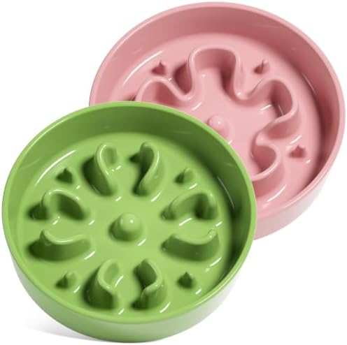 LE TAUCI Ceramic Slow Feeder Dog Bowls Small Breed, 0.6 Cups Dog Food Dish for Fast Eaters, Puzzle Bowl for Small Dogs and Cats,Pink+Green