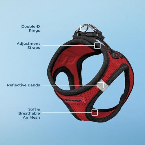 Best Pet Supplies Voyager Step-in Air Harness - All Weather Mesh, Reflective, No Pull Harness for Dogs, Cats - Secure with Hook & Loop Fastener, Buckle, Double D-Rings - Red/Black Trim, XL