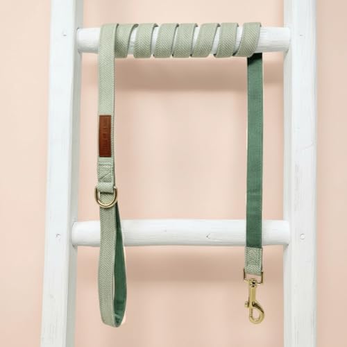 – Luxury 3-Piece Dog Walking Set – Adjustable Collar, 150 cm Leash, Poo Bag Holder – English Tweed & Soft Velvet – Elegant, Comfortable & Practical – 3 Colors