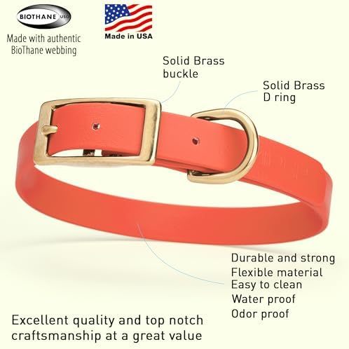 Viper Biothane Heavy Duty Waterproof Dog Collar Strong Coated Nylon Webbing w/Solid Brass Hardware Odor-Proof Easy to Clean High Performance Fits Small Medium or Large Dogs, Coral