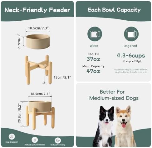 Havniva Ceramic Dog Bowls Elevated, Raised Dog Food Bowl for Small Dogs