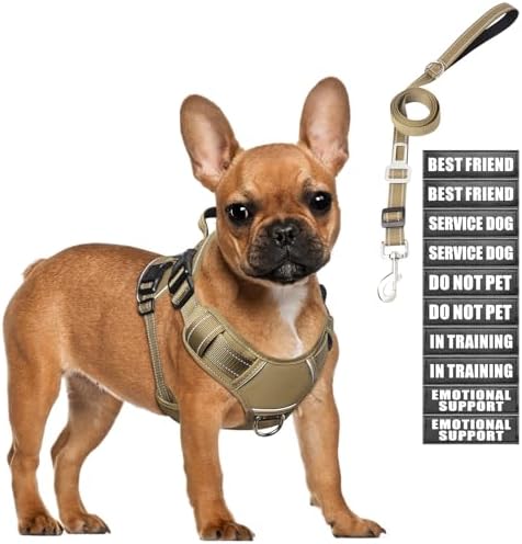 Tactical Dog Harness and Leash Set Small Sized Dog+10 Dog Patches