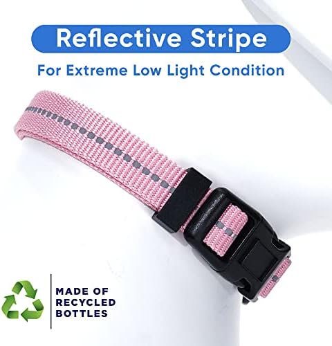 Pawtitas Recycled Dog Collar with Reflective Stitched Puppy Collar Made from Plastic Bottles Collected from Oceans Small Pink Cherry Blossom