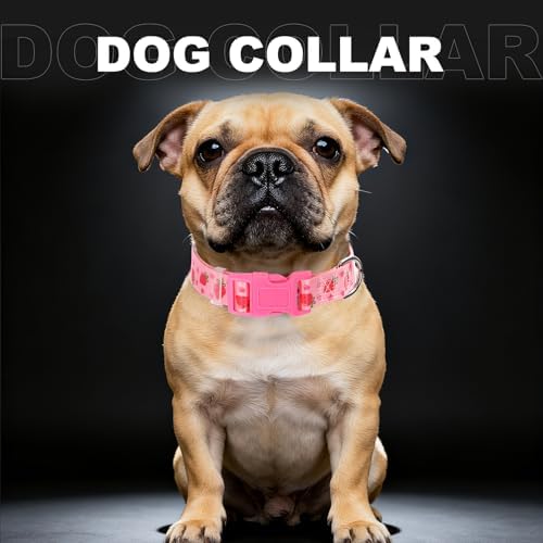 Strawberry Dog Collar for Medium Dogs，Nylon Adjustable Dog Collar-Pink M