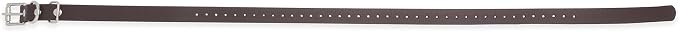 Educator Biothane Dog Collar, Waterproof, Odorproof, Metal Buckle and D Ring, Adjustable for Custom Fit, Cool and Comfortable, for Small, Medium, or Large Dogs, 3/4-Inch, Brown