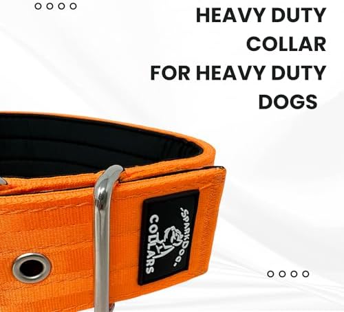 SparkDog Padded Working Dog Collar (Bright Orange, 2" Padded (16-21" Neck)