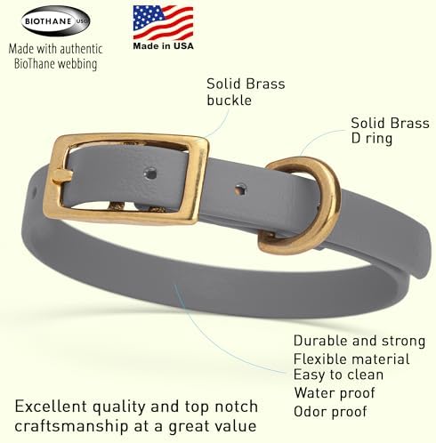 Viper Biothane Heavy Duty Waterproof Dog Collar Strong Coated Nylon Webbing w/Solid Brass Hardware Odor-Proof Easy to Clean High Performance Fits Small Medium or Large Dogs, Battleship Gray