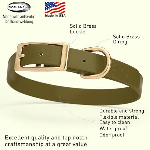 Viper Biothane Heavy Duty Waterproof Dog Collar Strong Coated Nylon Webbing w/Solid Brass Hardware Odor-Proof Easy to Clean High Performance Fits Small Medium or Large Dogs, Olive Drab Green