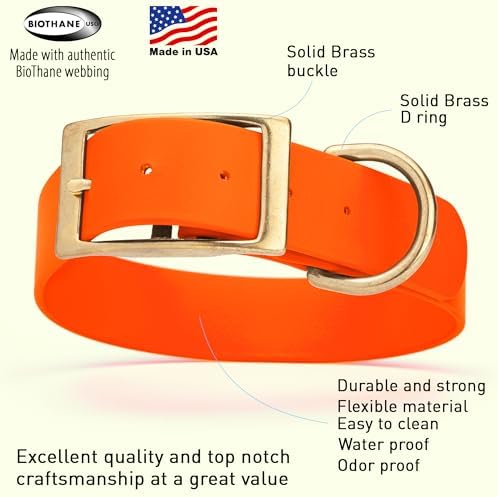 Viper Biothane Heavy Duty Waterproof Dog Collar Strong Coated Nylon Webbing w/Solid Brass Hardware Odor-Proof Easy to Clean High Performance Fits Small Medium or Large Dogs, Hunter Orange