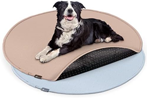 Paw Inspired Round Washable Pee Pads for Dogs, 48 Inch Size, Pack of 2